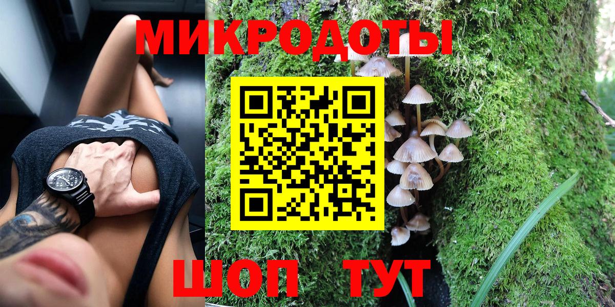 как найти   Псилоцибиновые грибы мухоморы  Вход с VPN  Ейск 